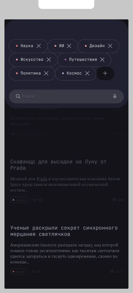 Puls, экран 4
